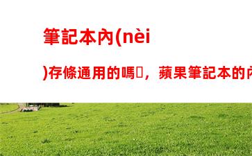 戴爾電腦參數(shù)(戴爾電腦參數(shù)怎么看)